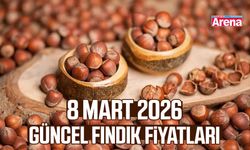 8 Mart 2026 güncel fındık fiyatları