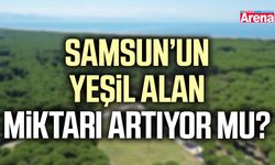 Samsun’un yeşil alan miktarı artıyor mu?