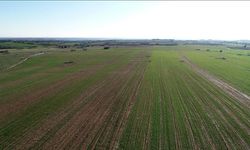 Arazi yatırımlarında enflasyon darbesi