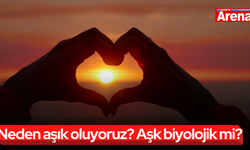 Neden aşık oluyoruz? Aşk biyolojik mi?