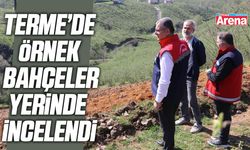 Terme’de Örnek Bahçeler yerinde incelendi