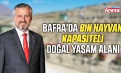 Bafra'da bin hayvan kapasiteli doğal yaşam alanı