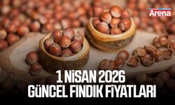 1 Nisan 2026 güncel fındık fiyatları
