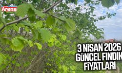 3 Nisan 2026 il il güncel fındık fiyatları