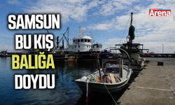 Samsun bu kış balığa doydu