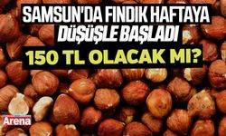 Samsun'da fındık haftaya düşüşle başladı