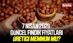 7 Nisan 2026 il il güncel fındık fiyatları