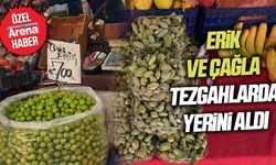 Samsun'da erik ve çağla tezgahlarda