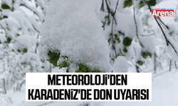 Meteoroloji'den Karadeniz'de don uyarısı