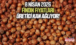 8 Nisan 2026 güncel fındık fiyatları