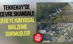 Samsun'da dereye kimyasal malzeme dökmüşler!