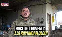 Samsunlu besici 110 koyununu dolandırıcılara kaptırdı