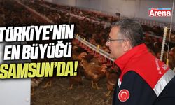 Türkiye'nin en büyük organik tavuk üreticisi Bafra'da