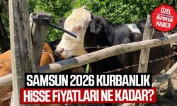 Samsun 2026 kurbanlık hisse fiyatları ne kadar?