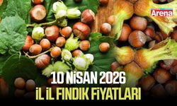 10 Nisan 2026 il il güncel fındık fiyatları