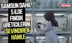 Kahverengi kokarca için dev hamle: Samsun'da üretiliyor