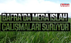 Bafra'da mera ıslah çalışmaları sürüyor
