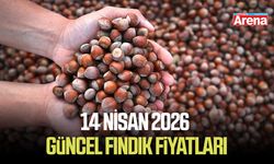 14 Nisan 2026 il il güncel fındık fiyatları