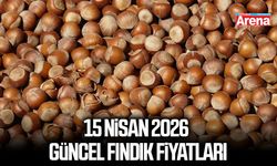 15 Nisan 2026 il il güncel fındık fiyatları