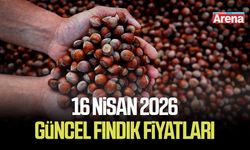 16 Nisan 2026 il il güncel fındık fiyatları