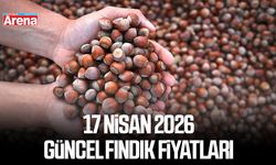 17 Nisan 2026 güncel fındık fiyatları