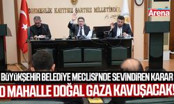 Samsun'da o mahalle doğal gaza kavuşacak!