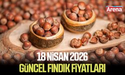 18 Nisan 2026 güncel fındık fiyatları