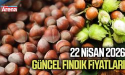 22 Nisan 2026 güncel fındık fiyatları