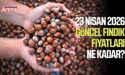23 Nisan 2026 güncel fındık fiyatları