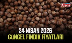 24 Nisan 2026 il il güncel fındık fiyatları