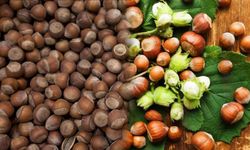 25 Nisan 2026 serbest piyasa güncel fındık fiyatları