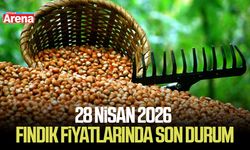 28 Nisan 2026 güncel fındık fiyatlarında son durum