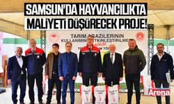 Samsun'da hayvancılıkta maliyeti düşürecek proje