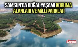 Samsun’da doğal yaşamı koruma alanları ve milli parklar