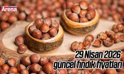 29 Nisan 2026 güncel fındık fiyatları
