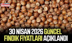 30 Nisan 2026 güncel fındık fiyatları açıklandı