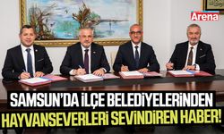 Samsun'da ilçelerden sahipsiz hayvanlar için dev iş birliği