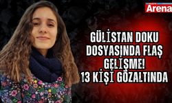 Gülistan Doku dosyasında flaş gelişme! 13 kişi gözaltında
