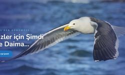 Sözleşme Çevirisi - Çeviri bürosu