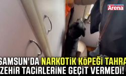 Samsun'da narkotik köpeği Tahra zehir tacirlerine geçit vermedi!