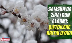 Samsun’da zirai don alarmı: Çiftçilere kritik uyarı!