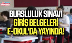 Bursluluk sınavı giriş belgeleri e-Okul'da yayında!