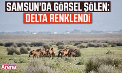 Samsun'da görsel şölen: Delta renklendi