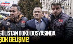 Gülistan Doku dosyasında şok gelişme! Eski valiye 5 suçlama