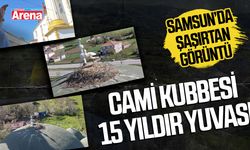 Samsun'da şaşırtan görüntü! Cami Kubbesi 15 yıldır yuvası