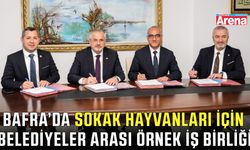 Bafra'da sokak hayvanları için iş birliği protokolü