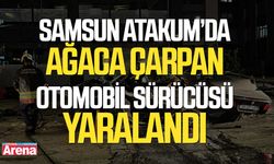 Samsun Atakum’da ağaca çarpan otomobil sürücüsü yaralandı