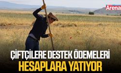 Çiftçilere destek ödemeleri hesaplara yatıyor