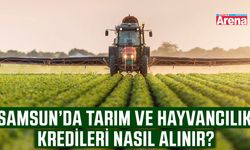 Samsun’da tarım ve hayvancılık kredileri nasıl alınır?