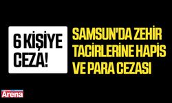 Samsun'da zehir tacirlerine hapis ve para cezası